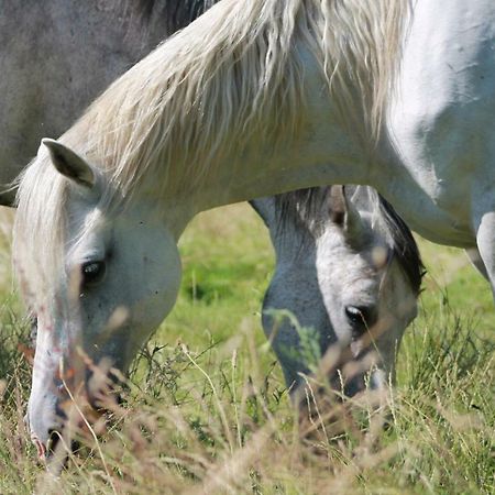 Gite De La Huaudiere Mosnes エクステリア 写真